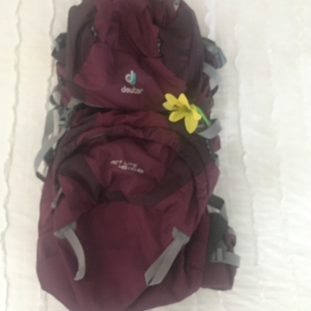 DEUTER Hiking Backpack
